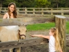 horsefarm03