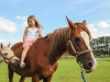 horsefarm05