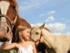 horsefarm07