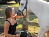 horsefarm09