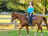 trailriding05