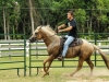 trailriding10