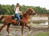 trailriding18